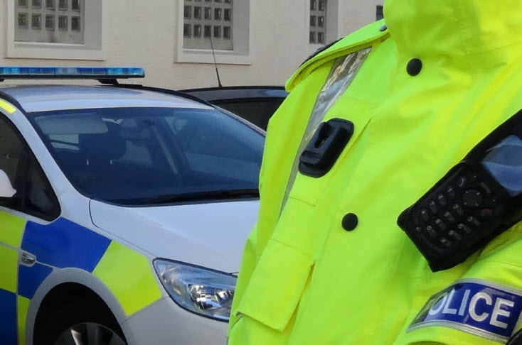 Police officer standing by police car