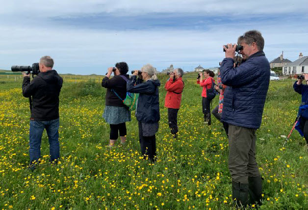 Outer Hebrides Wildlife Festival